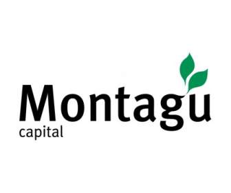 العاصمة مونتاغو