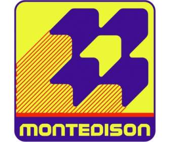 Montedison