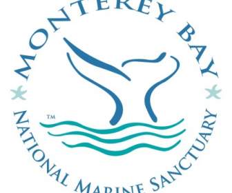 Baía De Monterey