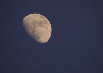 月球在晚上全部縮放