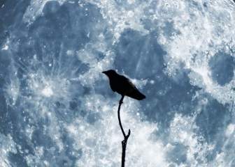 Mặt Trăng Crow Bầu Trời
