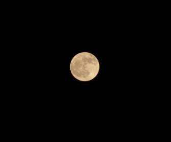 달 밤 보름달