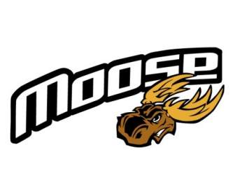 Moose Off Road Apparal