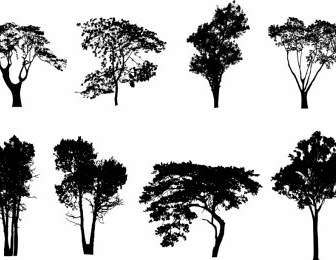 More Trees Silhouette Vector