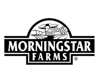Morningstar Peternakan