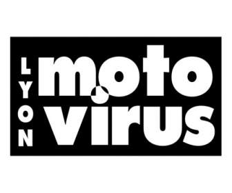 Virus De La Moto