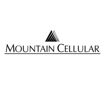 Mountain Cellular