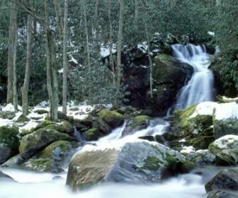 Mouse Creek Falls Di Musim Dingin Wallpaper Air Terjun Alam