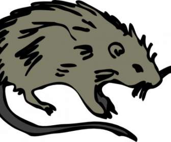 Maus Ratte Nagetier ClipArt