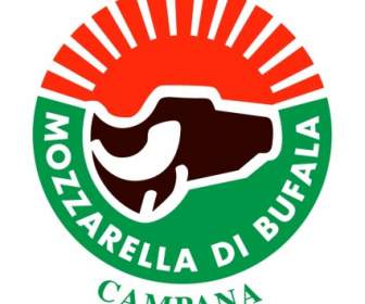 Mozzarella De Bufala Campana