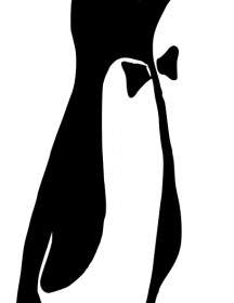 Sr. Pingüino