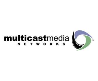 Jaringan Multicast Media