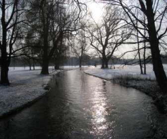 ミュンヘンの英語庭園の冬