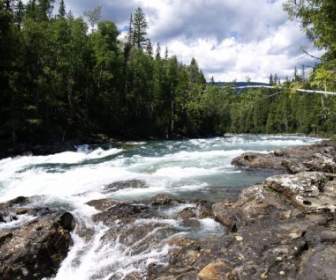 Murtle River Wells Gray Provincial Park British Columbia
