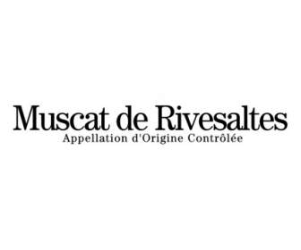 มัสกัตเดอ Rivesaltes