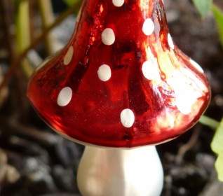 蘑菇飞木耳玻璃