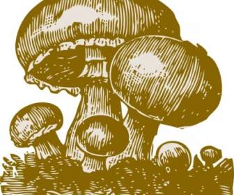 Mushrooms Clip Art