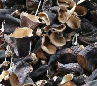 mushrooms dried judas ears