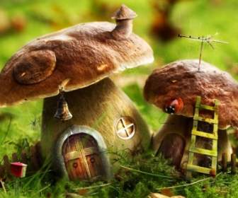 Pilze Haus Tapete Foto Manipuliert Natur