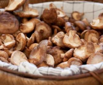 Mushrooms In Basket