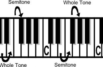 Musica Teoria Tono Semi Tono ClipArt