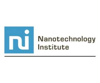 институт нанотехнологии