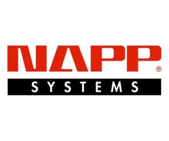 Napp Systems