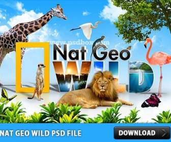 NAT Geo Wild Psd файл