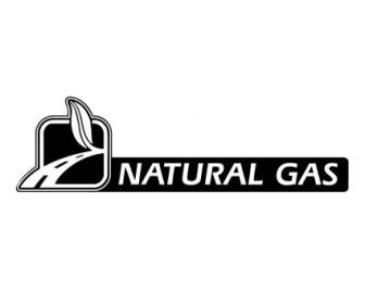 Gas Naturale