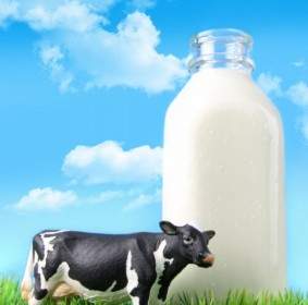 良いミルクの天然の Hd 画像