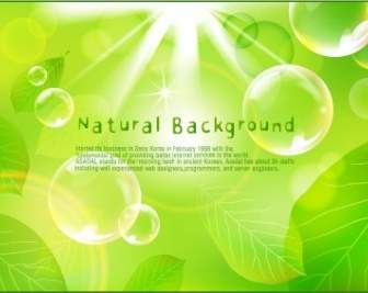 Natural Green Background Vector