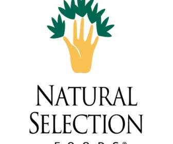 Selekcji Naturalnej żywności