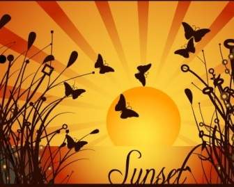 Nature Sunset Vector Graphique