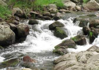 自然水の岩