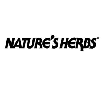 Hierbas De La Naturaleza