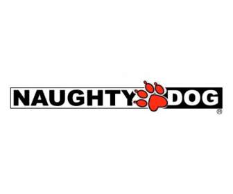 Naughty Dog