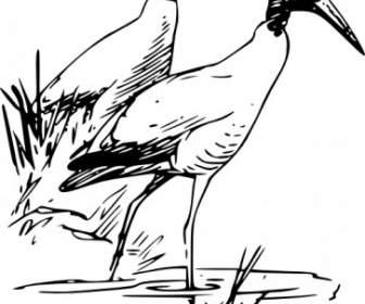 نايرهكريل Ibis الخشب قصاصة فنية