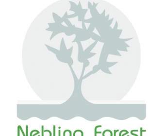 Forêt De La Neblina