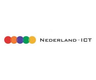 네덜란드 정보 통신