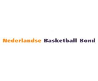 Nederlandse Bond De Basket-ball