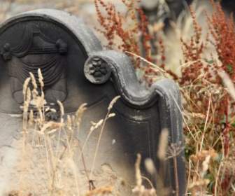 Neglected Tombstone