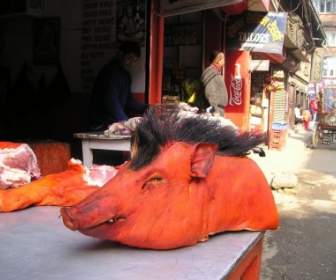 ネパールの豚の頭