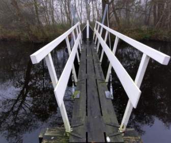 Netherlands Bridge Nature