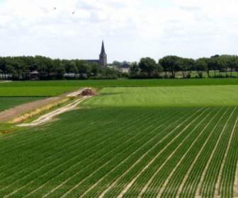 Netherlands Landscape Fields