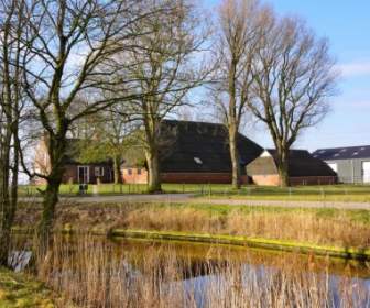 Belanda Lanskap Pohon Pond