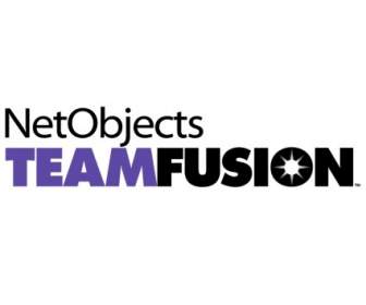 Netobjects Teamfusion