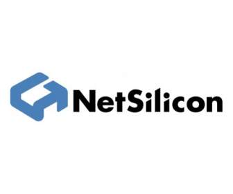 Netsilicon