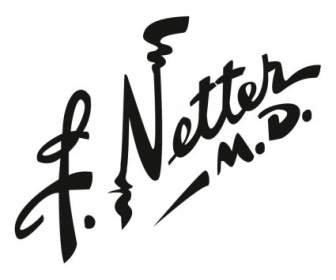 Dr. Netter Md