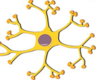 Clip Art De Neurona Interneurona