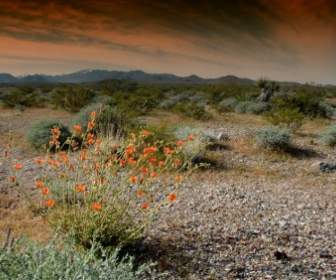 Nevada Landscape Scenic